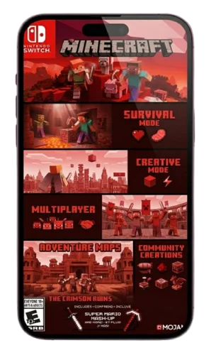 Various Play Modes
